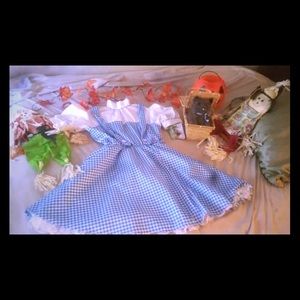 Wizard of Oz Dorothy costume
